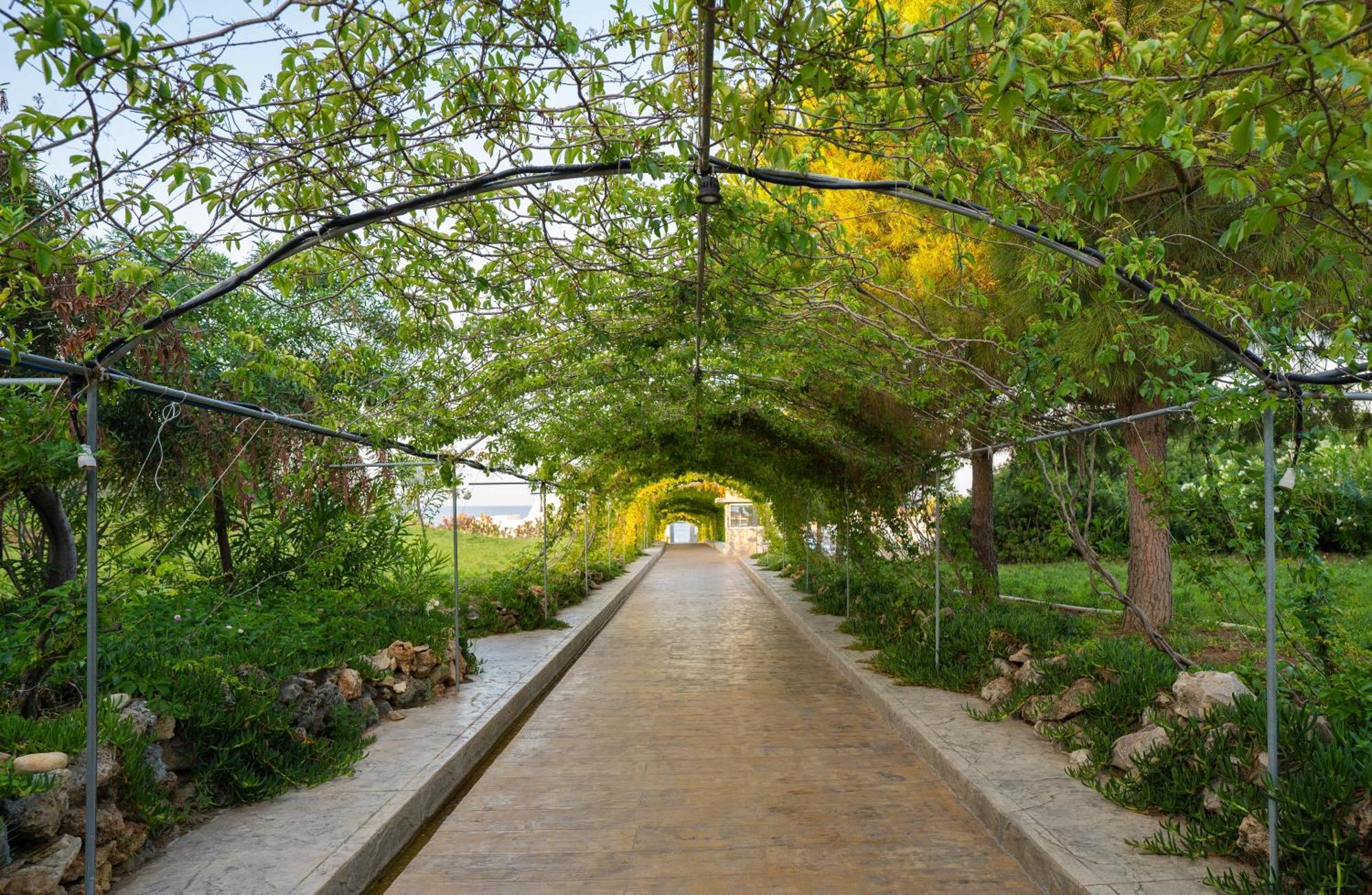 Master Family Club Hotel Manavgat Eksteriør billede